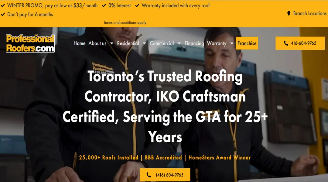 Professional Roofers