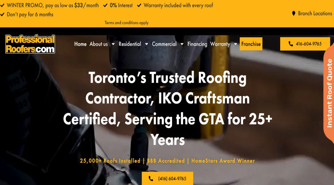 Professional Roofers